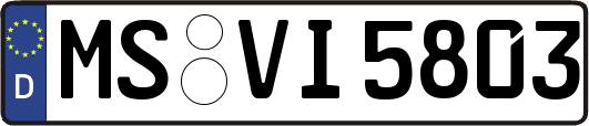 MS-VI5803