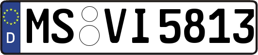 MS-VI5813