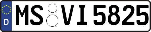 MS-VI5825