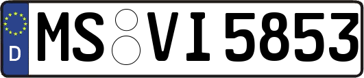 MS-VI5853