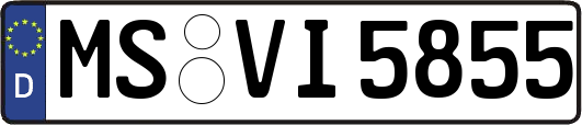 MS-VI5855
