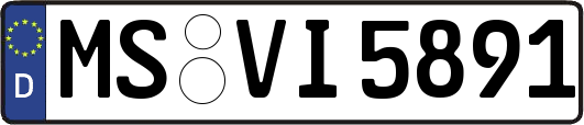 MS-VI5891