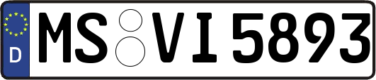 MS-VI5893