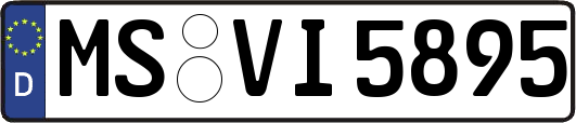MS-VI5895