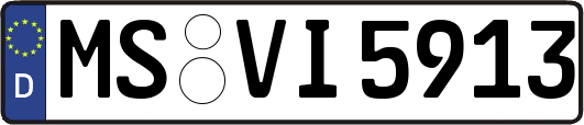 MS-VI5913