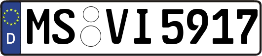MS-VI5917