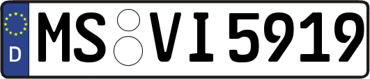 MS-VI5919