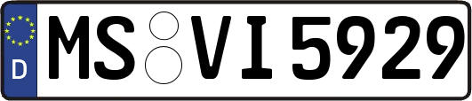 MS-VI5929