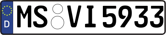 MS-VI5933