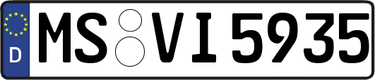 MS-VI5935