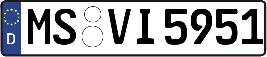 MS-VI5951