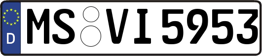 MS-VI5953