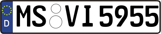 MS-VI5955