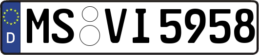 MS-VI5958