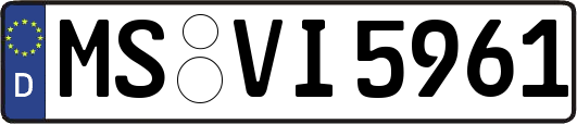 MS-VI5961