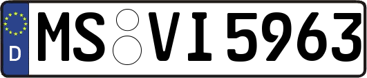 MS-VI5963