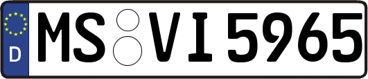 MS-VI5965