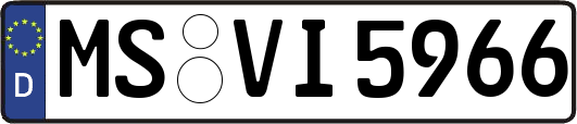 MS-VI5966