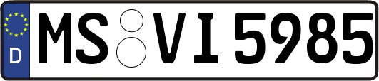 MS-VI5985