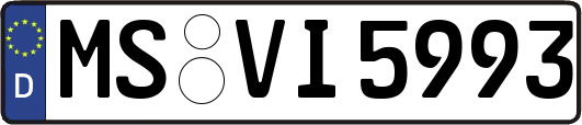 MS-VI5993