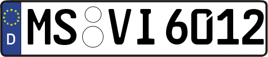 MS-VI6012