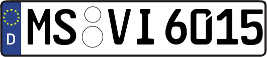 MS-VI6015