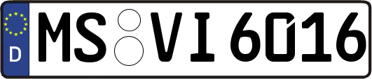MS-VI6016