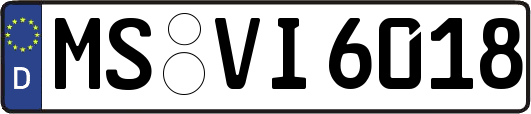 MS-VI6018