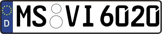MS-VI6020
