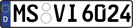 MS-VI6024