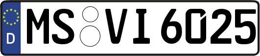 MS-VI6025