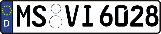 MS-VI6028