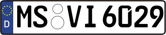 MS-VI6029
