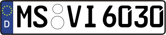 MS-VI6030