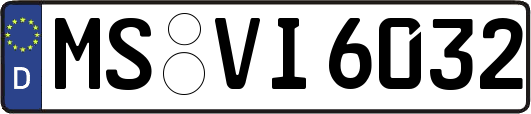 MS-VI6032