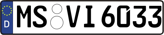 MS-VI6033
