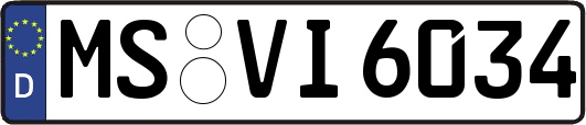 MS-VI6034