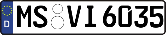 MS-VI6035