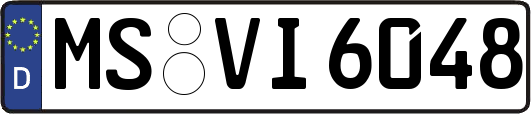 MS-VI6048