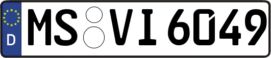 MS-VI6049