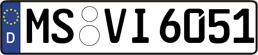 MS-VI6051
