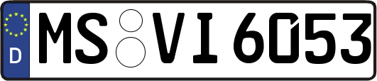 MS-VI6053