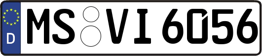 MS-VI6056