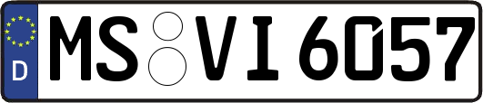 MS-VI6057