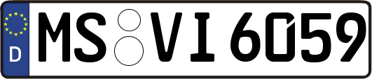 MS-VI6059