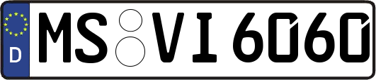 MS-VI6060