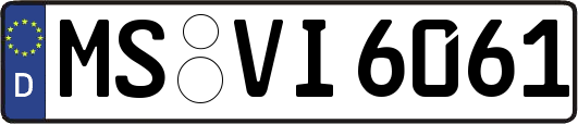 MS-VI6061