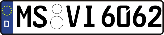 MS-VI6062