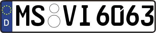 MS-VI6063