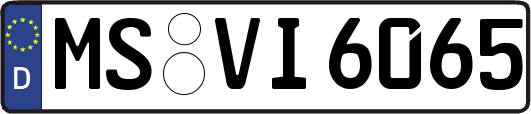 MS-VI6065